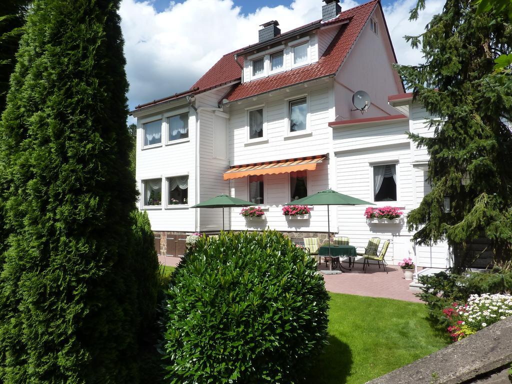 Pension Rheingold Garni Bad Grund Exterior foto