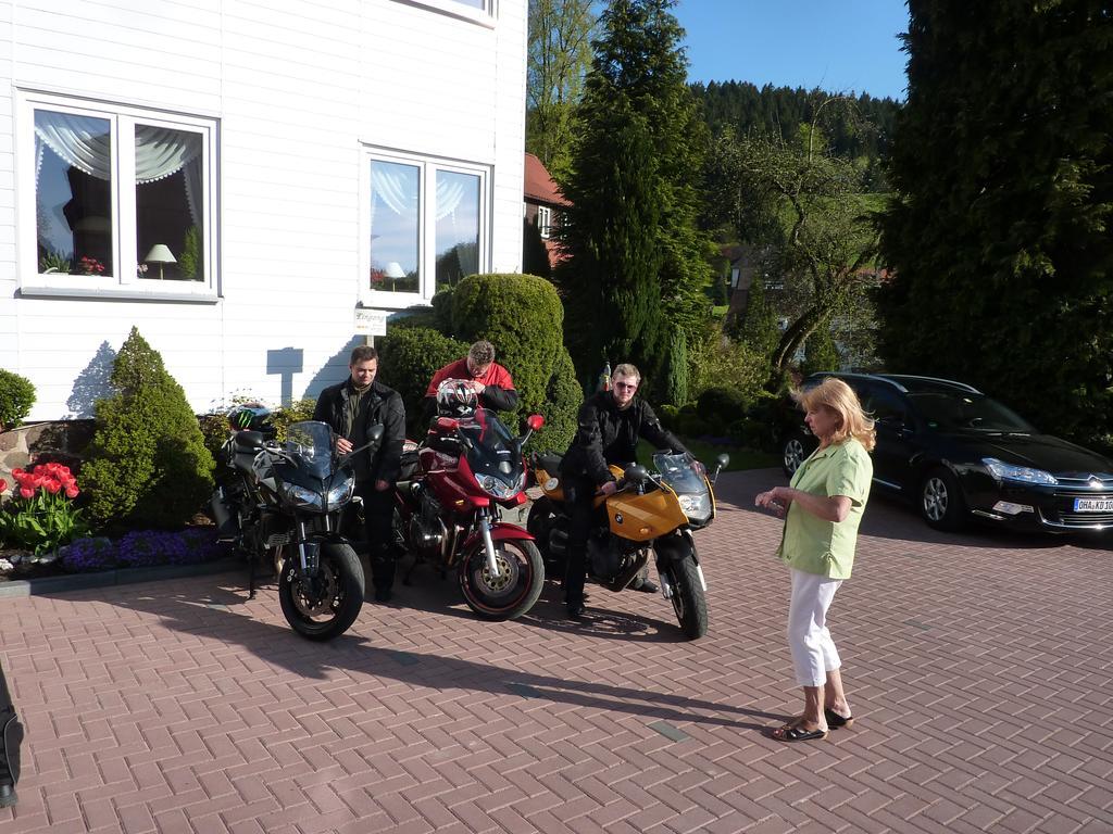 Pension Rheingold Garni Bad Grund Exterior foto